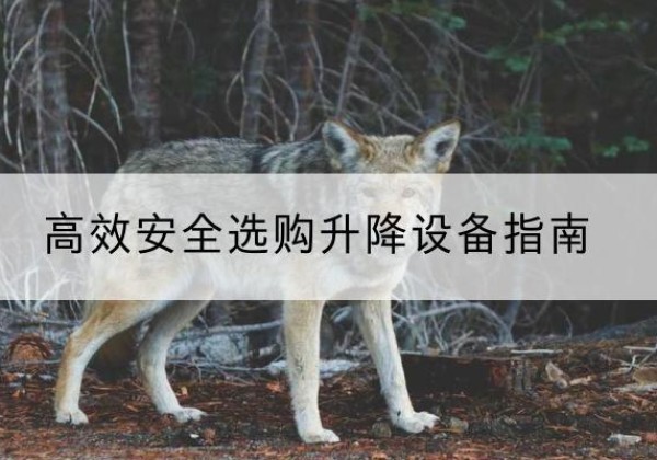 集宁升降货梯厂家推荐-*安全选购升降设备指南