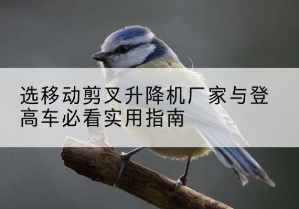 集宁电动升降机厂家-选移动剪叉升降机厂家与登高车必看实用指南
