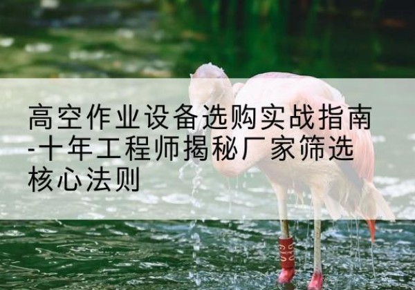 集宁剪叉式升降机厂家-高空作业设备选购实战指南-十年工程师揭秘厂家筛选核心法则